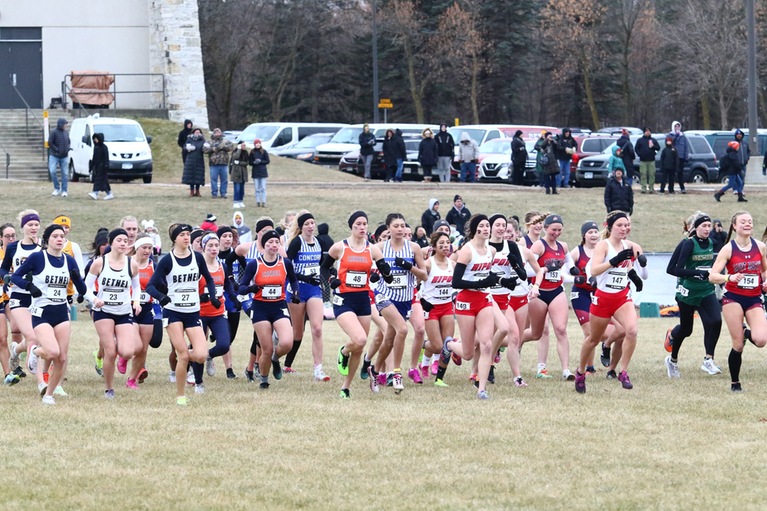 Thumbnail photo for the Women's Cross Country @ NCAA North Regionals (Nov. 12, 2022) gallery