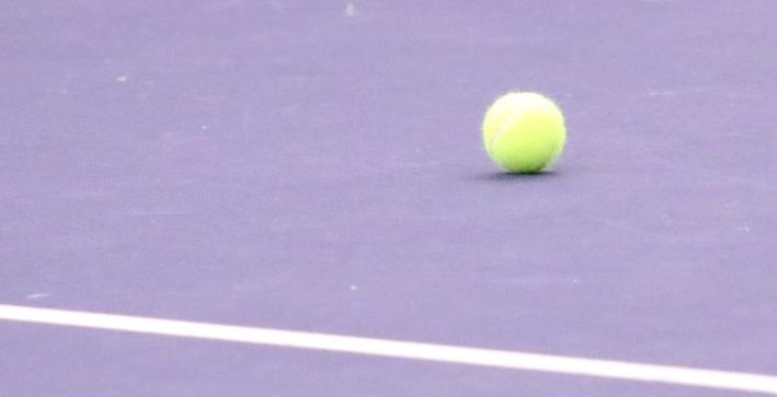 Men's Tennis defeats MSOE in NACC semifinals, falls in finals to IIT
