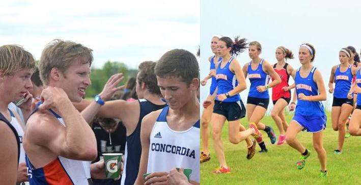Cast of Falcons to pace Cross Country teams in 2015