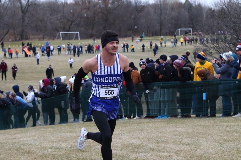Thumbnail photo for the Men's Cross Country @ NCAA North Regionals (Nov. 11, 2022) gallery