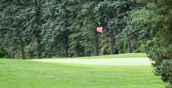 Men's Golf competes at Naperville Collegiate Invitational