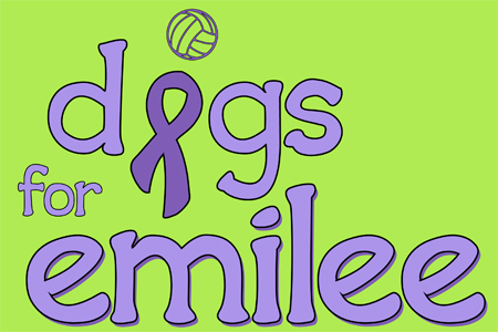 Digs for Emilee event set for Oct. 26