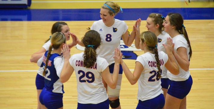 Volleyball's season ends in NACC Tournament