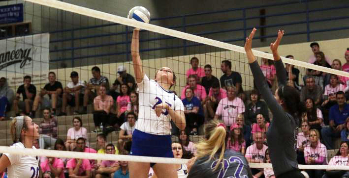 No. 12 UW-Whitewater downs Volleyball in electrifying five-setter